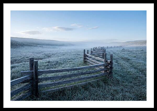 Split Rail Fence In Morning Mist