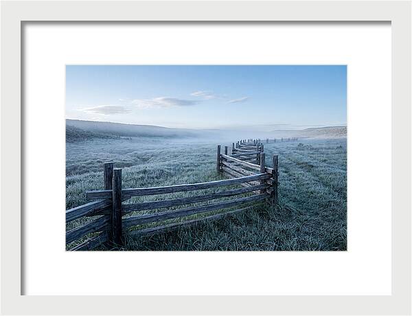 Split Rail Fence In Morning Mist