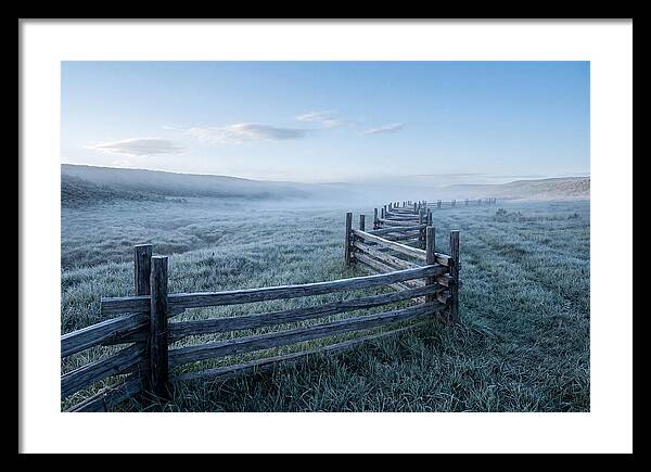 Split Rail Fence In Morning Mist