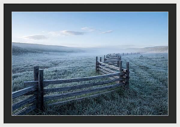 Split Rail Fence In Morning Mist