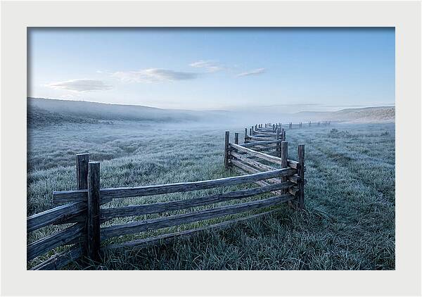 Split Rail Fence In Morning Mist