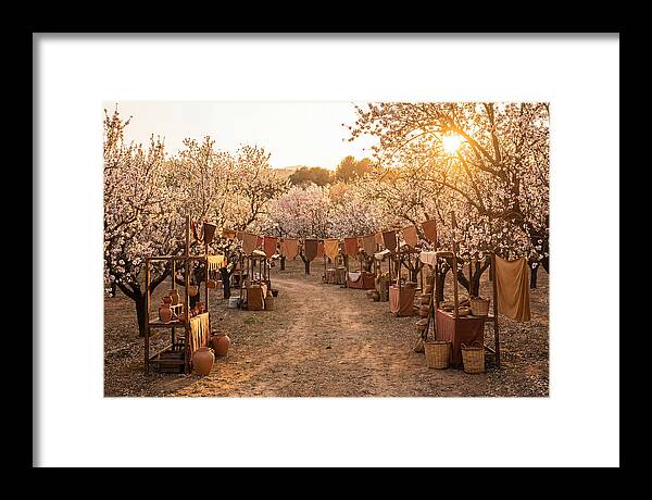 Spring Blossom Festival