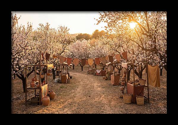 Spring Blossom Festival