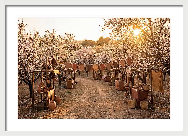 Spring Blossom Festival