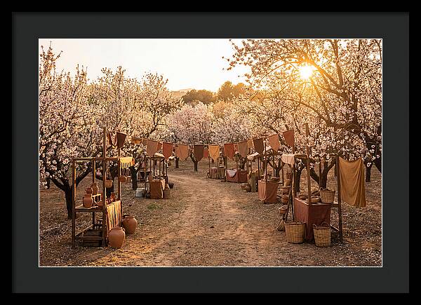 Spring Blossom Festival