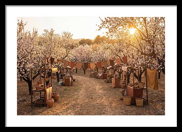 Spring Blossom Festival