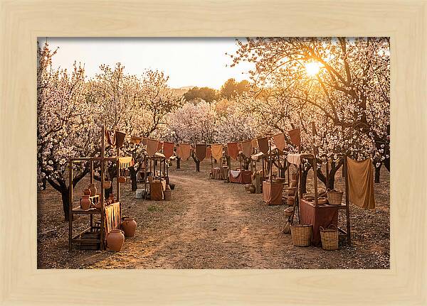 Spring Blossom Festival
