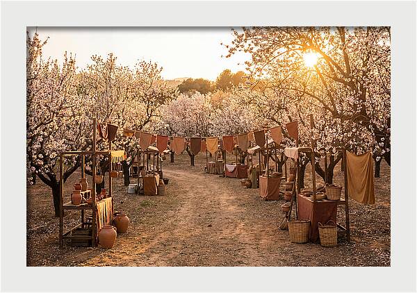 Spring Blossom Festival