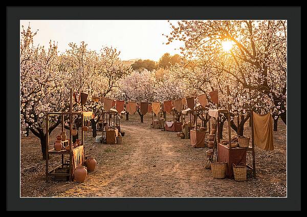 Spring Blossom Festival