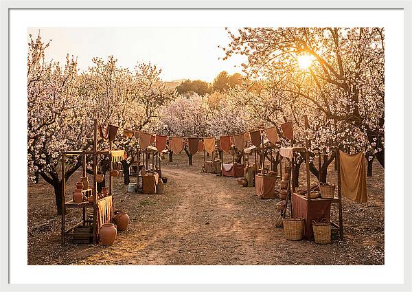 Spring Blossom Festival