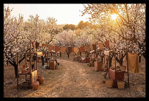 Spring Blossom Festival