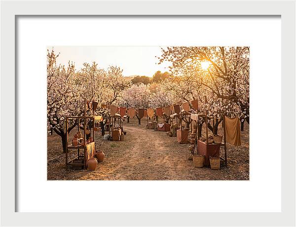 Spring Blossom Festival