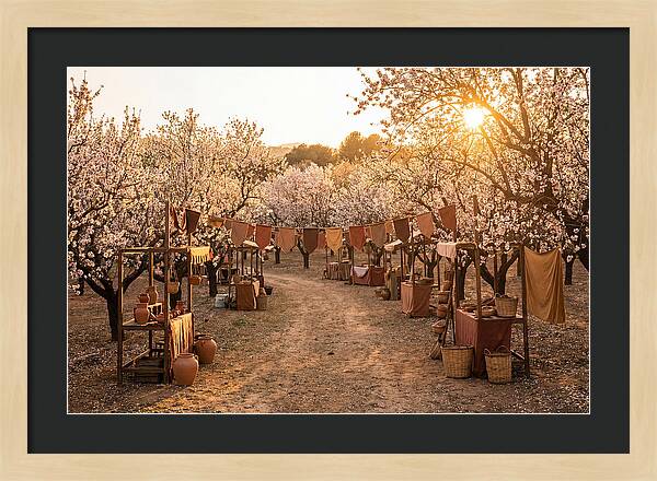 Spring Blossom Festival
