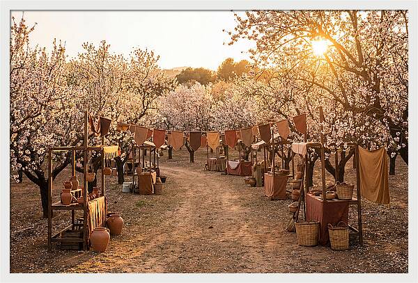 Spring Blossom Festival