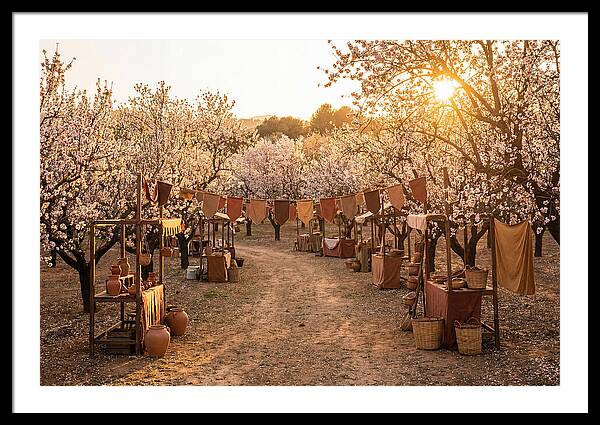 Spring Blossom Festival