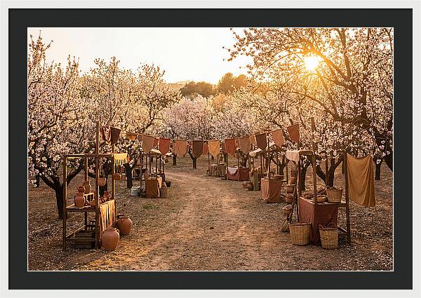 Spring Blossom Festival