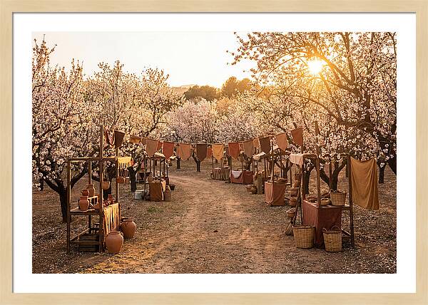 Spring Blossom Festival