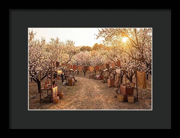 Spring Blossom Festival