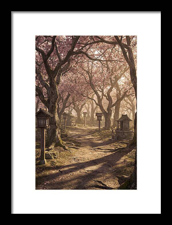 Spring Blossom Festival Pathway