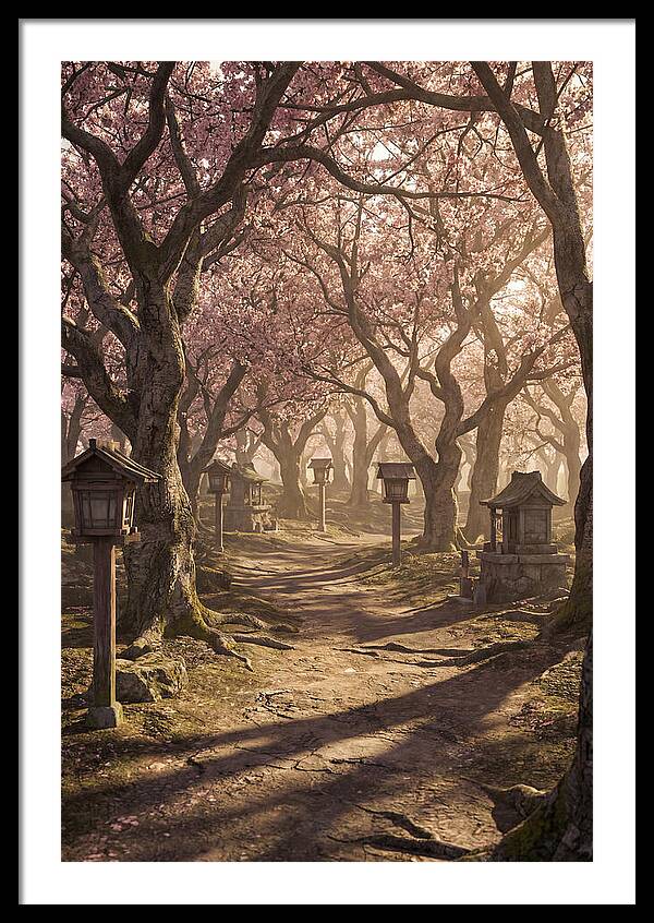 Spring Blossom Festival Pathway
