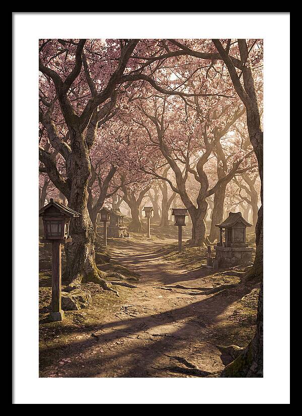Spring Blossom Festival Pathway