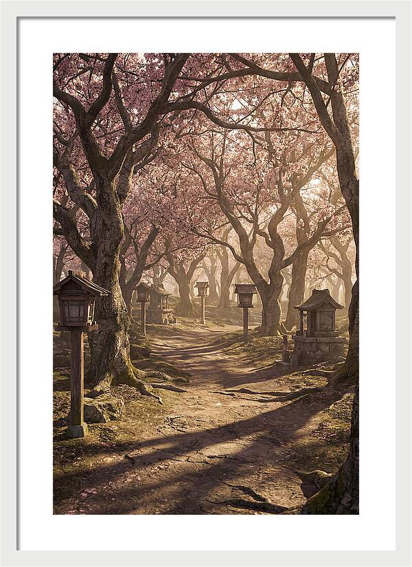 Spring Blossom Festival Pathway