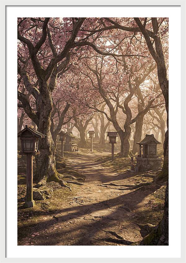 Spring Blossom Festival Pathway