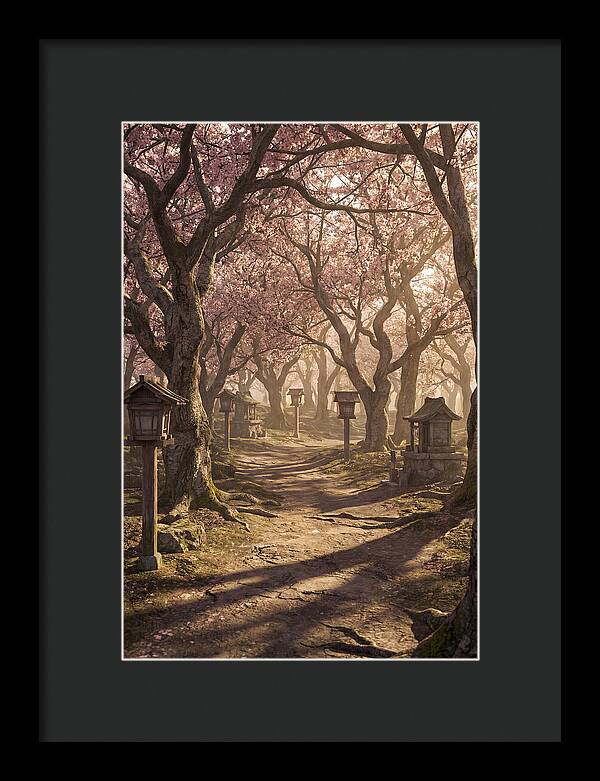Spring Blossom Festival Pathway