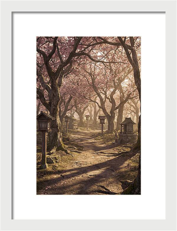 Spring Blossom Festival Pathway