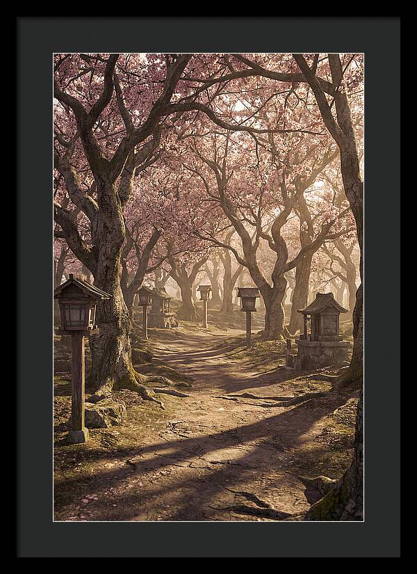 Spring Blossom Festival Pathway