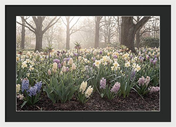 Spring Bulb Garden Blooming