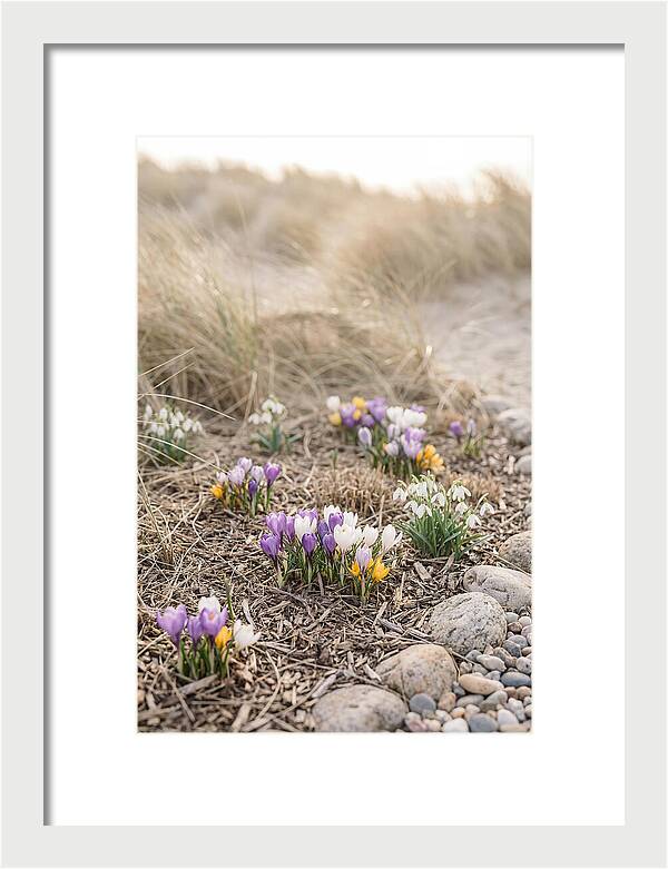 Spring Bulb Garden Delight