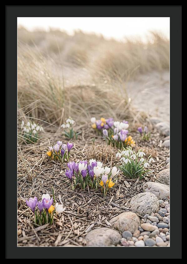 Spring Bulb Garden Delight