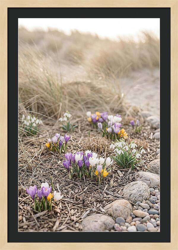 Spring Bulb Garden Delight