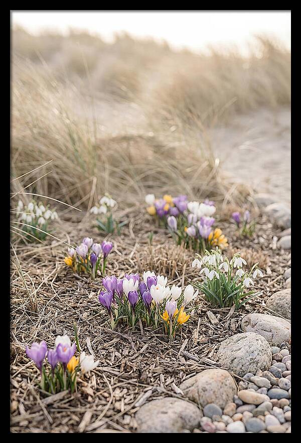 Spring Bulb Garden Delight