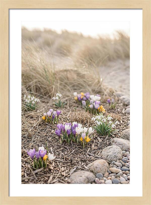 Spring Bulb Garden Delight
