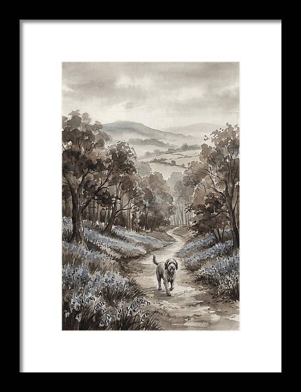 Spring Countryside Walk With Dog