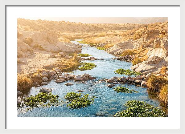 Spring Fed Stream Serenity