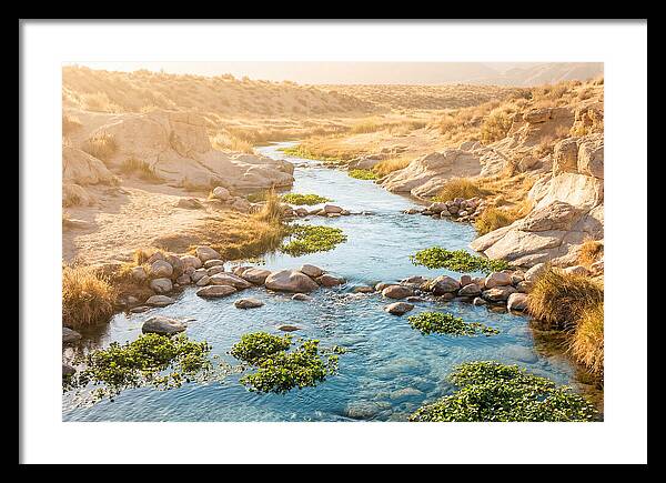 Spring Fed Stream Serenity