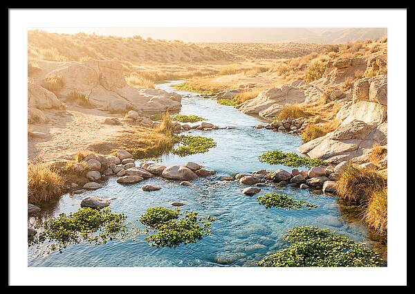 Spring Fed Stream Serenity
