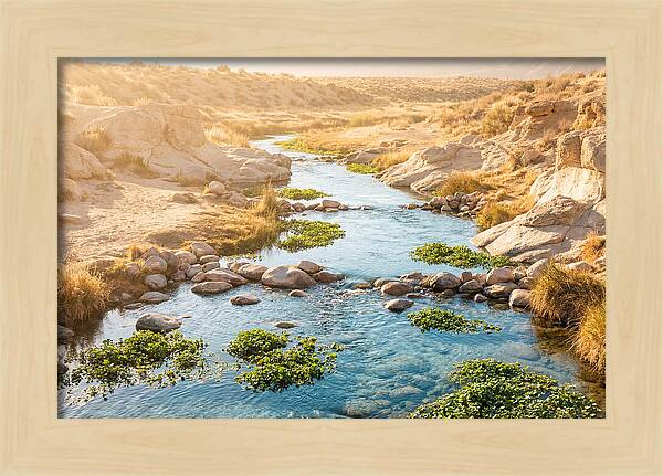 Spring Fed Stream Serenity