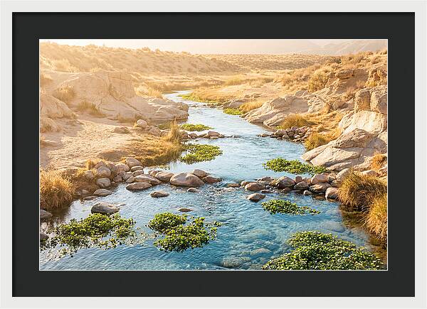 Spring Fed Stream Serenity