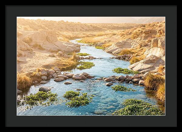 Spring Fed Stream Serenity