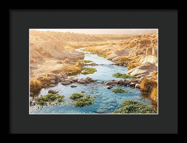 Spring Fed Stream Serenity