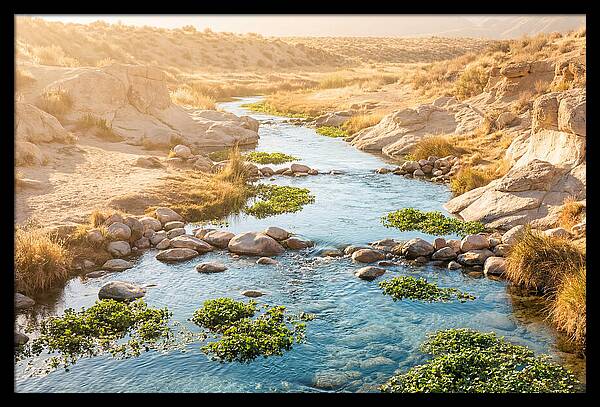 Spring Fed Stream Serenity