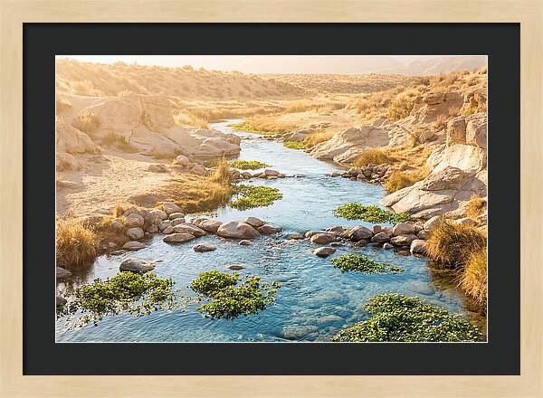 Spring Fed Stream Serenity