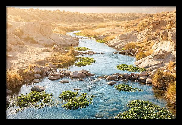 Spring Fed Stream Serenity