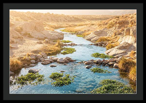 Spring Fed Stream Serenity