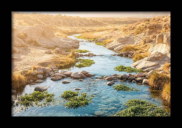Spring Fed Stream Serenity