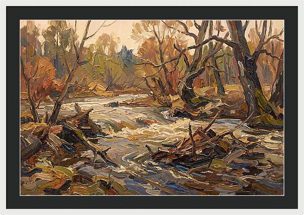 Spring Flood Waters Rushing Through Trees